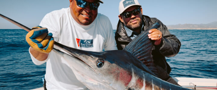 Your Dream Angling Adventure in Cabo San Lucas Your Dream Angling Adventure in Cabo San Lucas