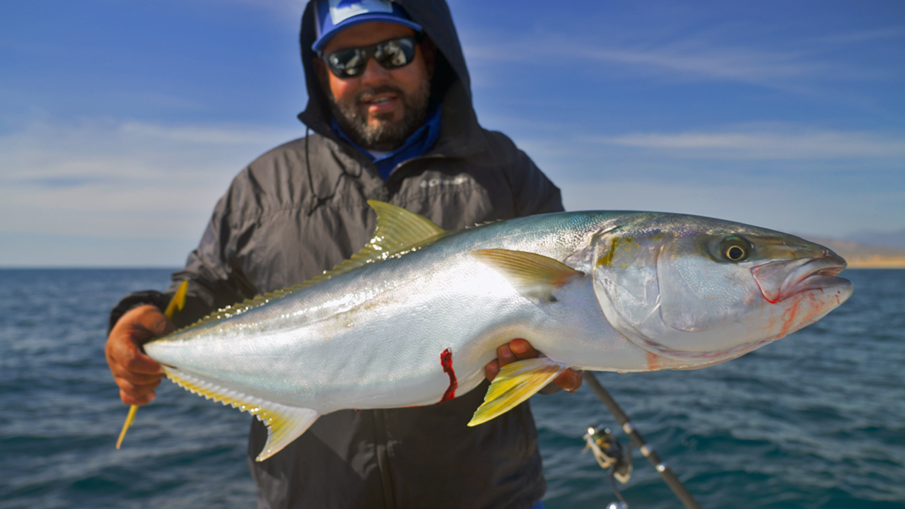 Hooked on La Paz: Finding Your Perfect Fishing Season 11 Fishing trips in La Paz