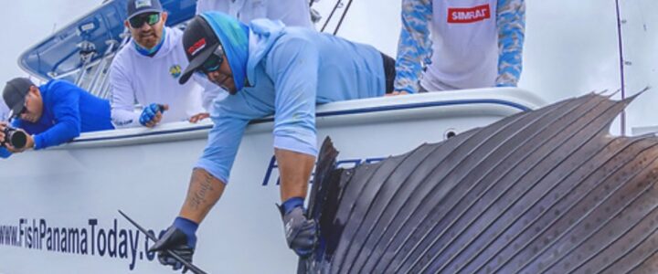 Exploring the World of Offshore Fishing with Elliott Stark Exploring the World of Offshore Fishing with Elliott Stark