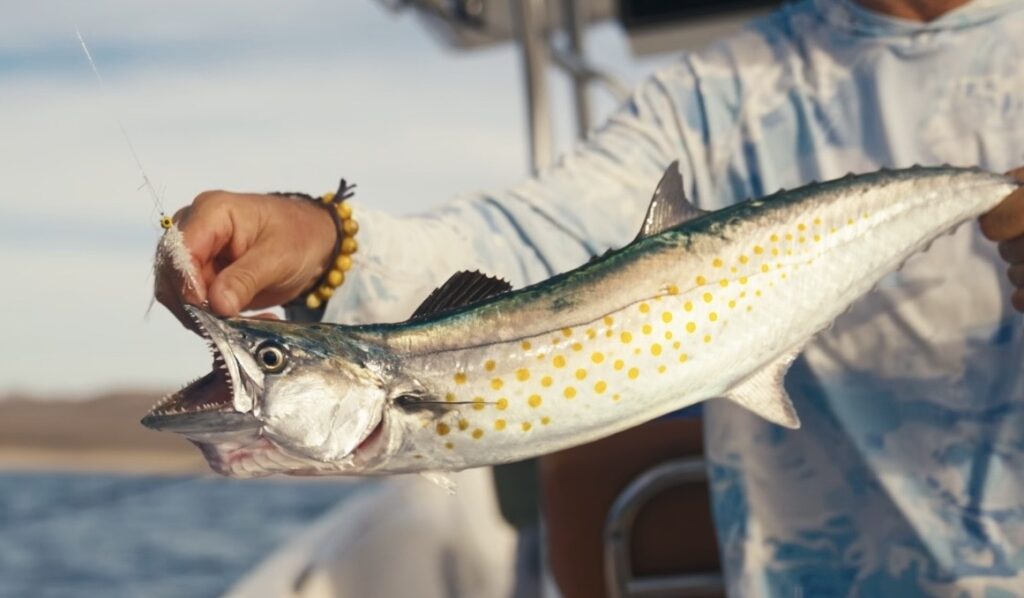 Top 10 Saltwater Fly Fishing Blogs 1 Top 10 Saltwater Fly Fishing Blogs