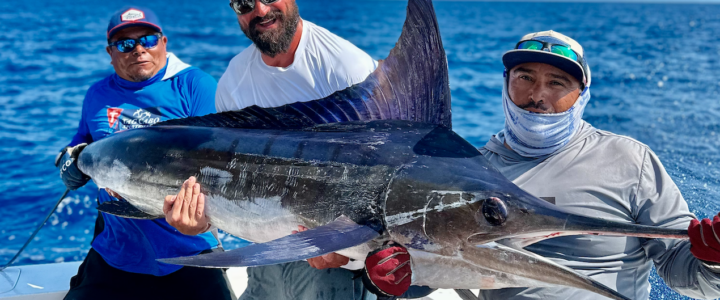 The Ultimate Cabo Fishing Season Guide The Ultimate Cabo Fishing Season Guide