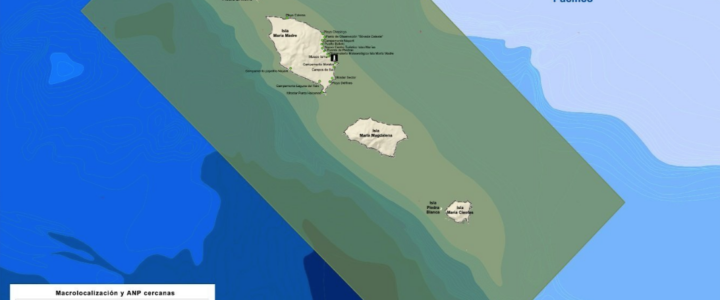The Ultimate Destination for Trophy Yellowfin Tuna Fishing The Ultimate Destination for Trophy Yellowfin Tuna Fishing
