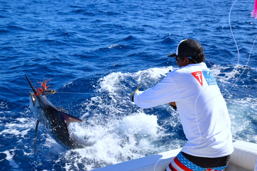 The Ultimate Cabo Fishing Season Guide 7 Cabo Fishing Season Guide