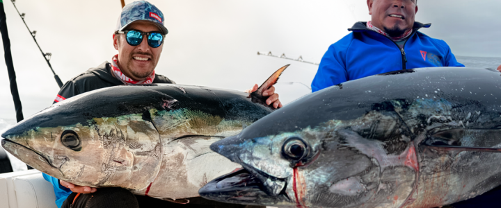 10 Tips for Planning an Epic Multi-Day Fishing Trip in Cabo San Lucas 10 Tips for Planning an Epic Multi-Day Fishing Trip in Cabo San Lucas