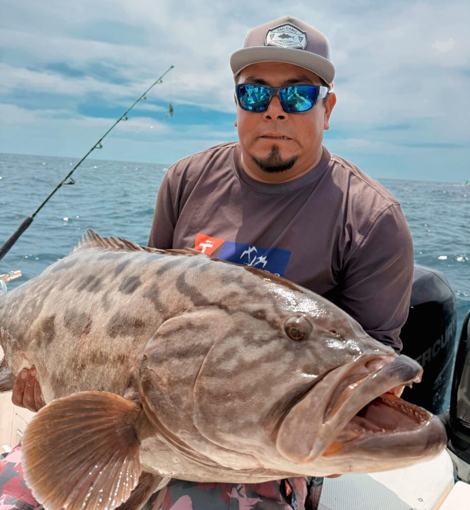 Top 10 Fish You Can Catch in Cabo San Lucas 9 Cabrilla, Grouper in Cabo San Lucas