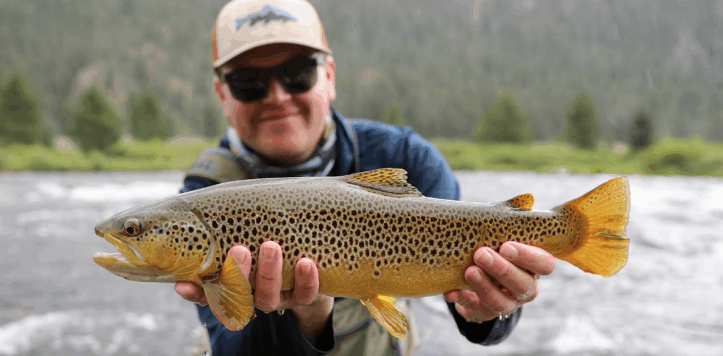 Top 10 Summer Fishing Destinations: Your Global Hit List 17 Top 10 Summer Fishing Destinations