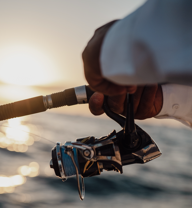 Choosing The Right SHIMANO Stella Reel 8 Shimano Stella Reels