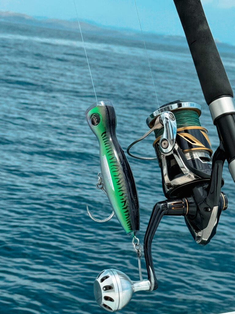 Choosing The Right SHIMANO Stella Reel 9 estella3