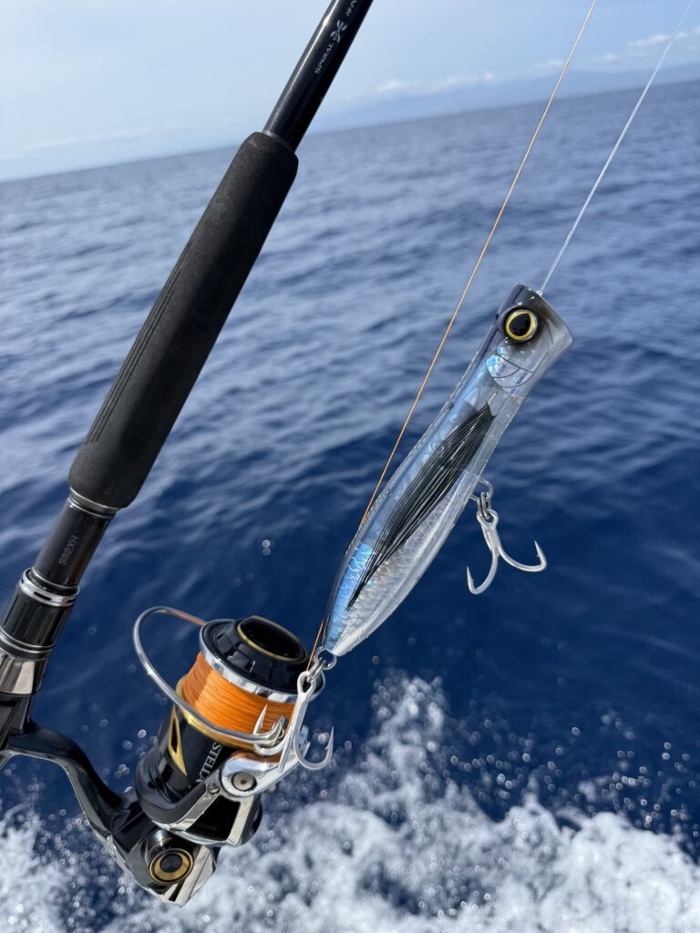 East Cape Fishing Adventures 2 East Cape Fishing Adventures – Catching Yellowfin Tuna on Poppers and Flies