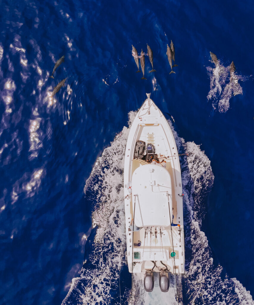 Fishing Reports – Cabo San Lucas, San Jose Del Cabo, East Cape & Magdalena Bay 18 East Cape Fishing Adventures – Catching Yellowfin Tuna on Poppers and Flies