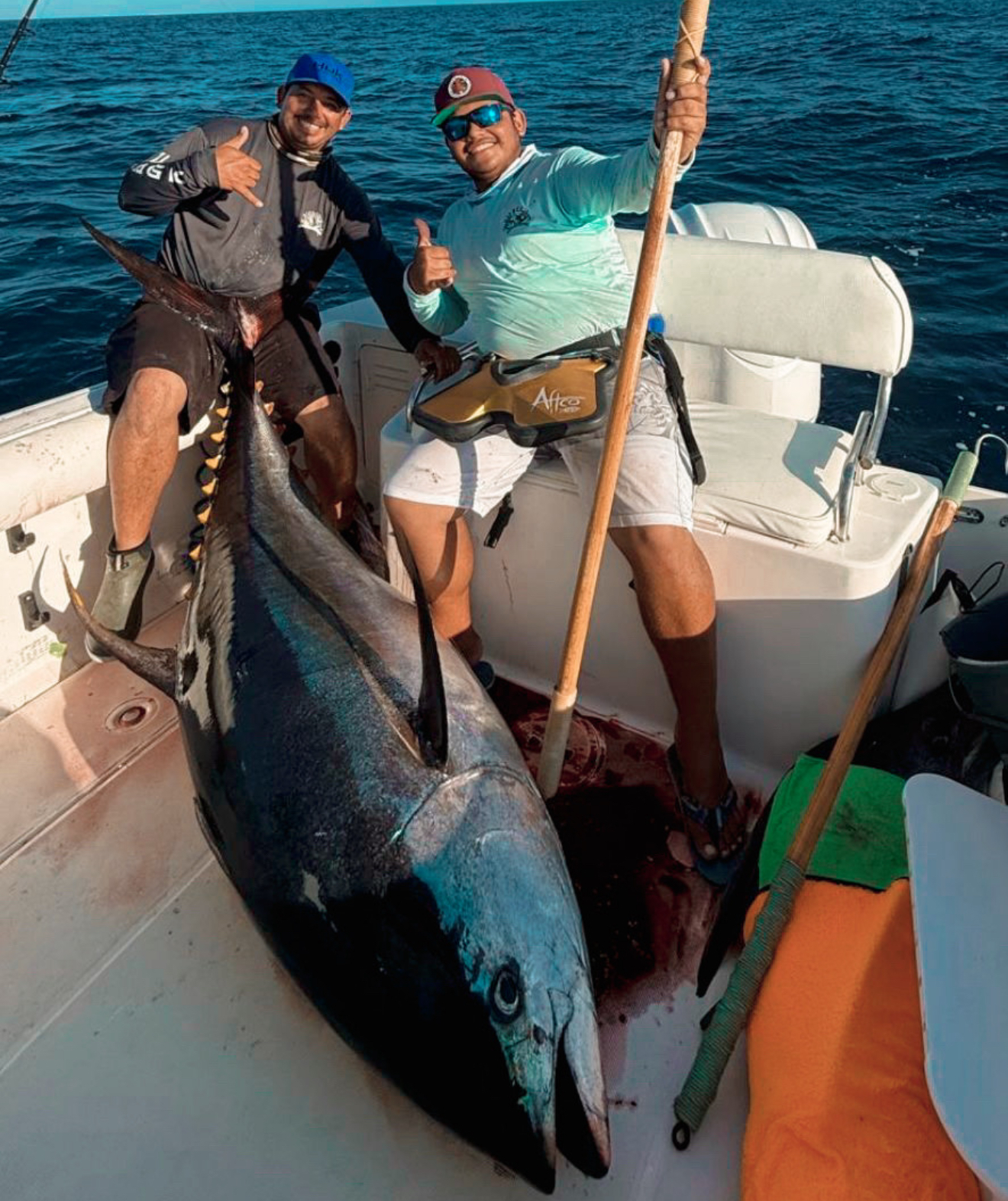 Massive 328-Lb Yellowfin Tuna Caught in San José del Cabo 11 Massive 328-Lb Yellowfin Tuna Caught in San José del Cabo