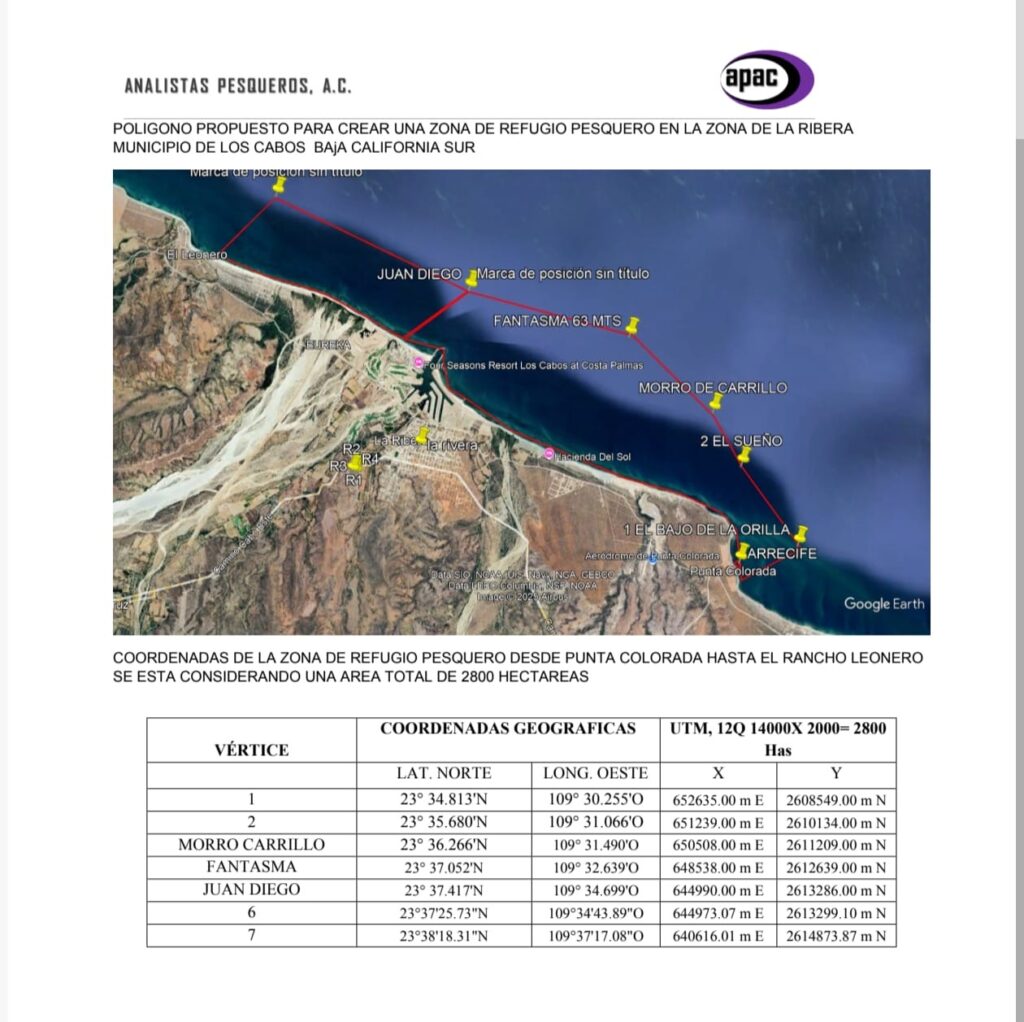 Los Cabos Unites to Protect Its Seas: A Historic Step Toward Sustainable Sportfishing 1 Los Cabos Unites to Protect Its Seas: A Historic Step Toward Sustainable Sportfishing
