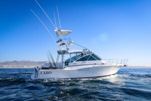 Cabo Fishing Charter Fleet & Prices . Tag Cabo 5 35’ Cabo Express: The Offshore "Bulldog"