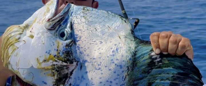The Complete Guide to Fishing in Cabo San Lucas The Complete Guide to Fishing in Cabo San Lucas