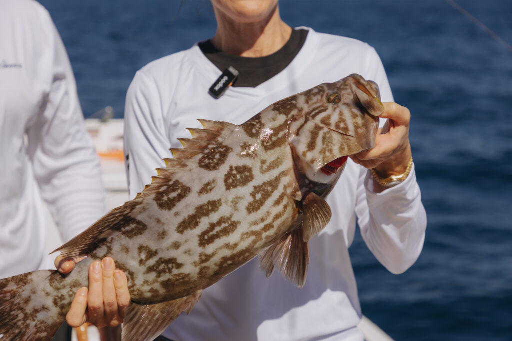 Panga Fishing in Cabo San Lucas Panga Fishing in Cabo San Lucas