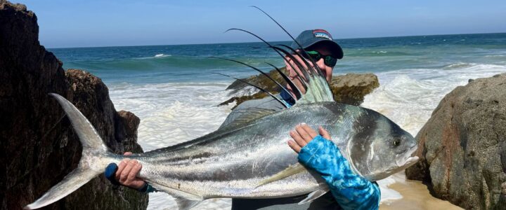 Inshore Fishing in Los Cabos – Frequently Asked Questions Inshore Fishing in Los Cabos – Frequently Asked Questions