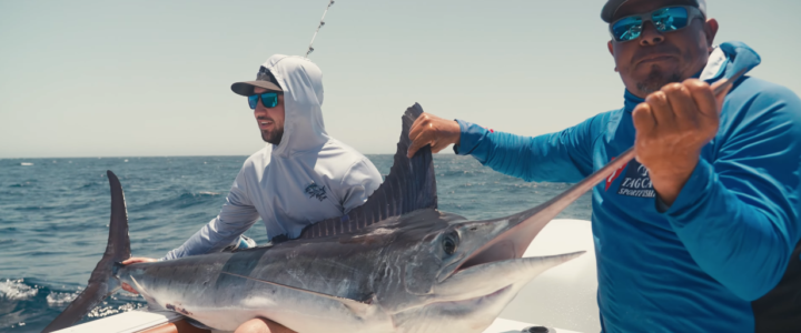 Why Cabo San Lucas Is One of the World’s Greatest Marlin Destinations Why Cabo San Lucas Is One of the World’s Greatest Marlin Destinations