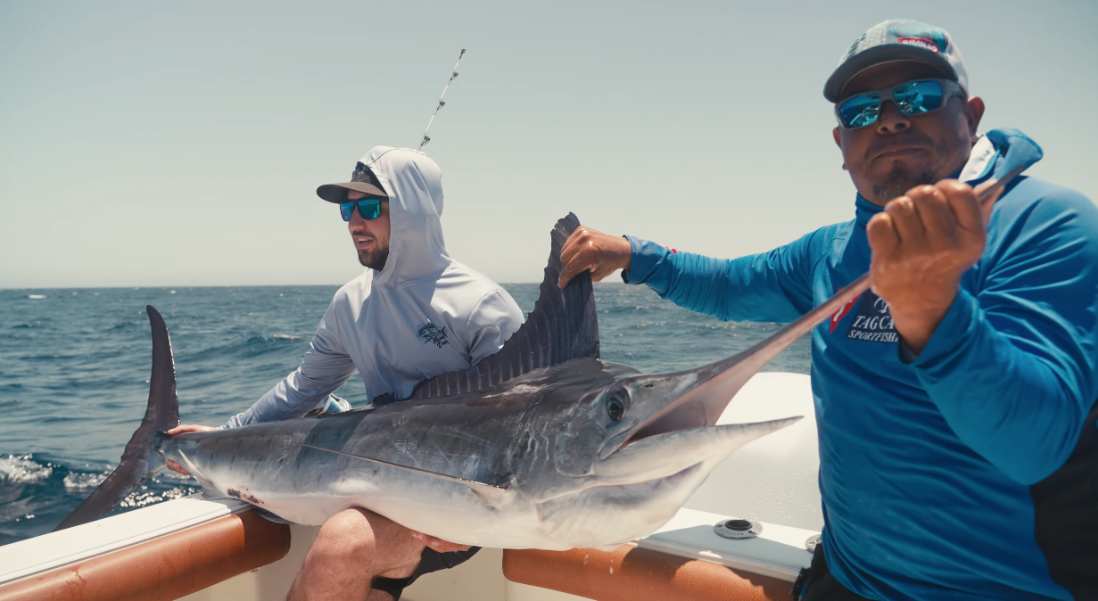 Why Cabo San Lucas Is One of the World's Greatest Marlin Destinations 1 Why Cabo San Lucas Is One of the World's Greatest Marlin Destinations
